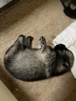 image0_3.jpeg