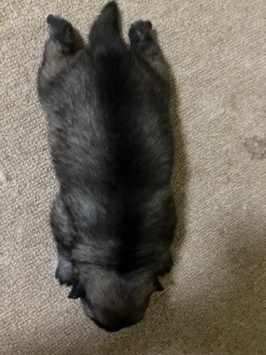 image0_4.jpeg