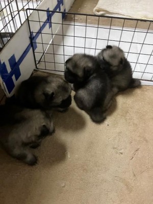 image0_6.jpeg