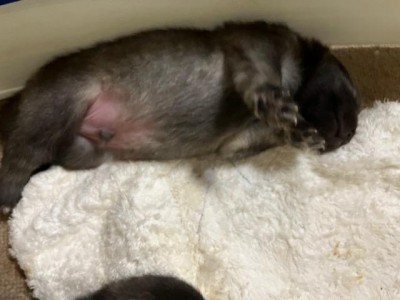 image1_3.jpeg