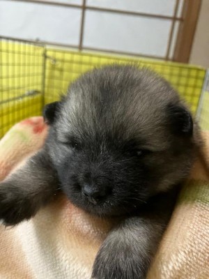 image1_4.jpeg