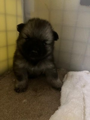 image1_5.jpeg