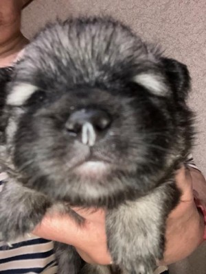 image2_2.jpeg